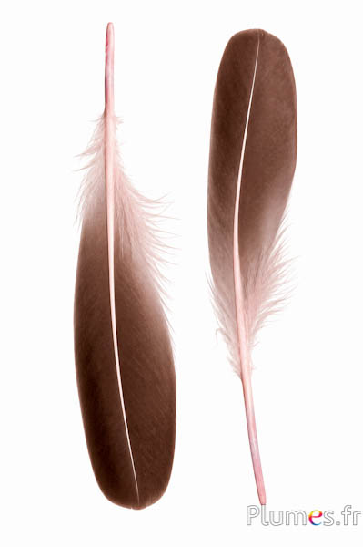 Ente - 18-20 cm, links und rechts - zartrosa-schwarz 